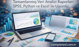 Tamamlanmış Veri Analizi Raporları: SPSS, Python ve Excel ile Uyumlu
