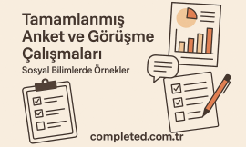 Tamamlanmış Anket ve Görüşme Çalışmaları: Sosyal Bilimlerde Örnekler