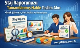 Staj Raporunuzu Tamamlanmış Halde Teslim Alın – Örnek Şablonlar, Veri Analizi ve Yorumlama