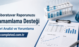 Laboratuvar Raporunuzu Tamamlama Desteği | Veri Analizi ve Yorumlama